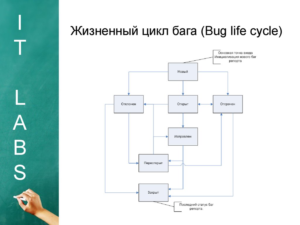 Жизненный цикл теста. Жизненный цикл дефекта схема. Жизненный цикл бага. Жизненный цикл бага в тестировании. Жизненный цикл дефекта в тестировании.