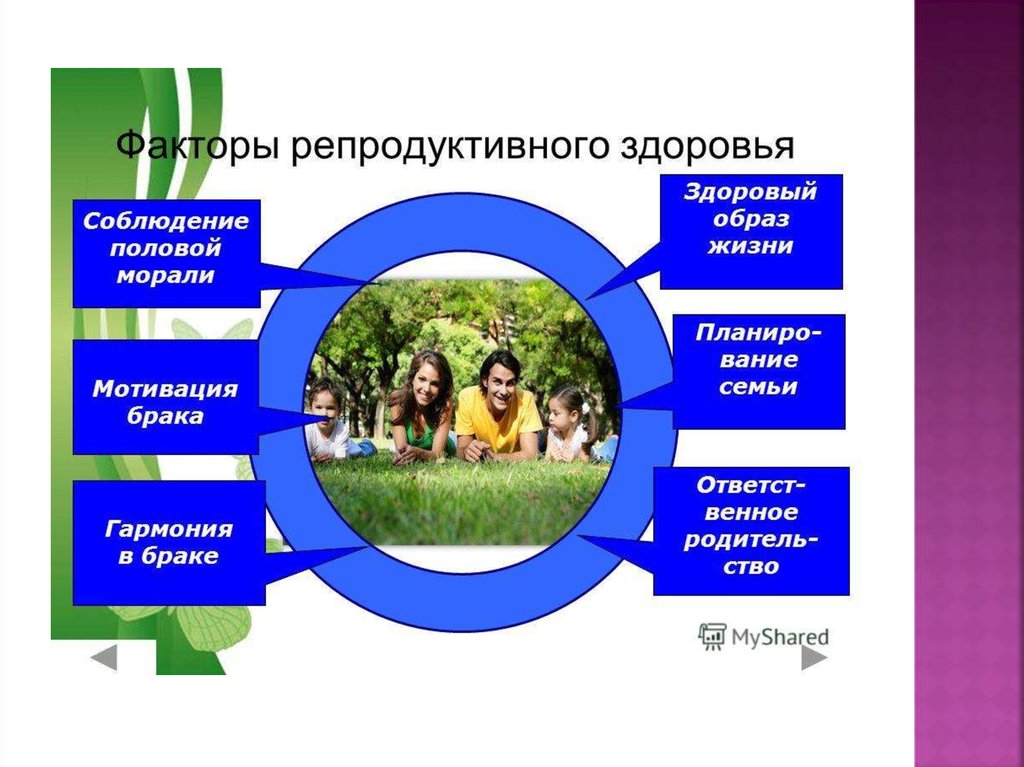 Репродуктивное здоровье человека презентация