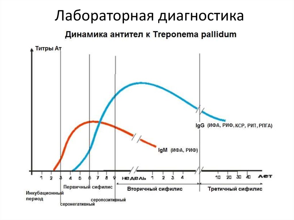 Anti treponema pallidum