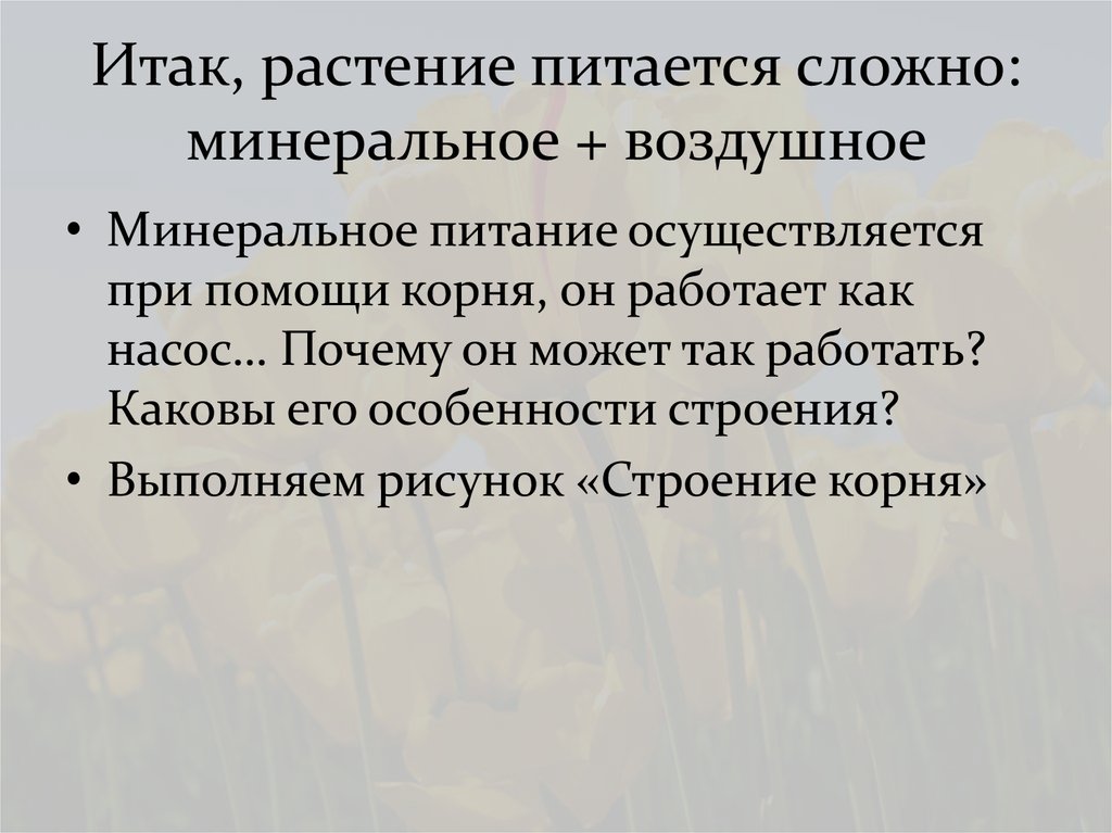 Итак, растение питается сложно: минеральное + воздушное