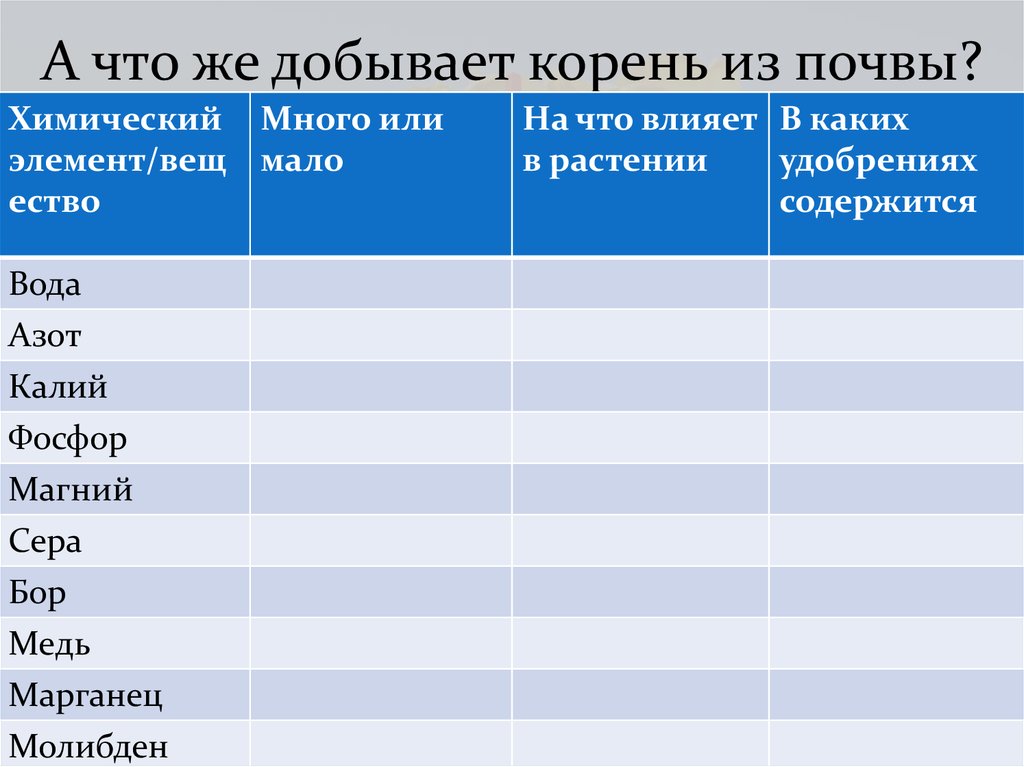 А что же добывает корень из почвы?