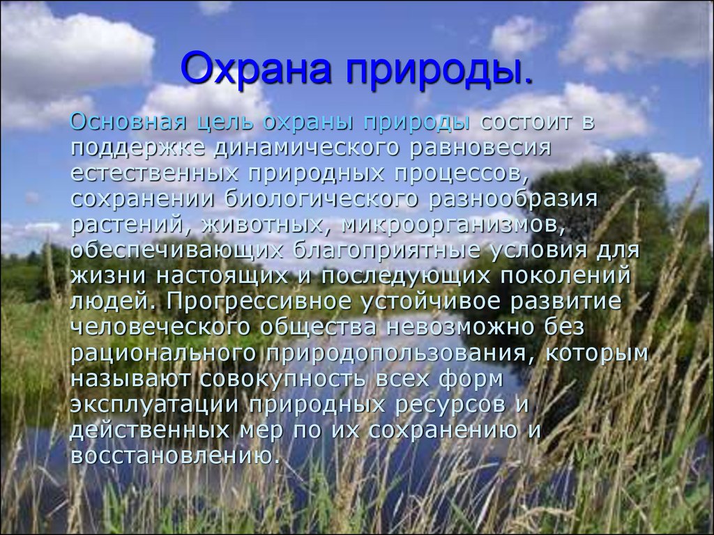 Проект на тему охрана природы в нашем крае 4 класс по окружающему миру