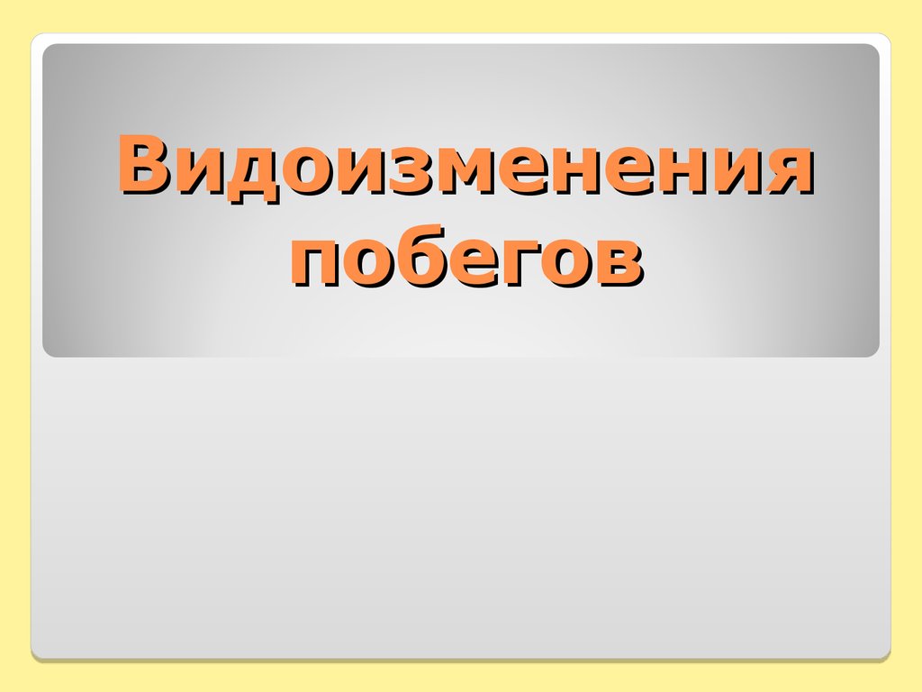 Презентация видоизменения побегов 6 класс фгос пасечник