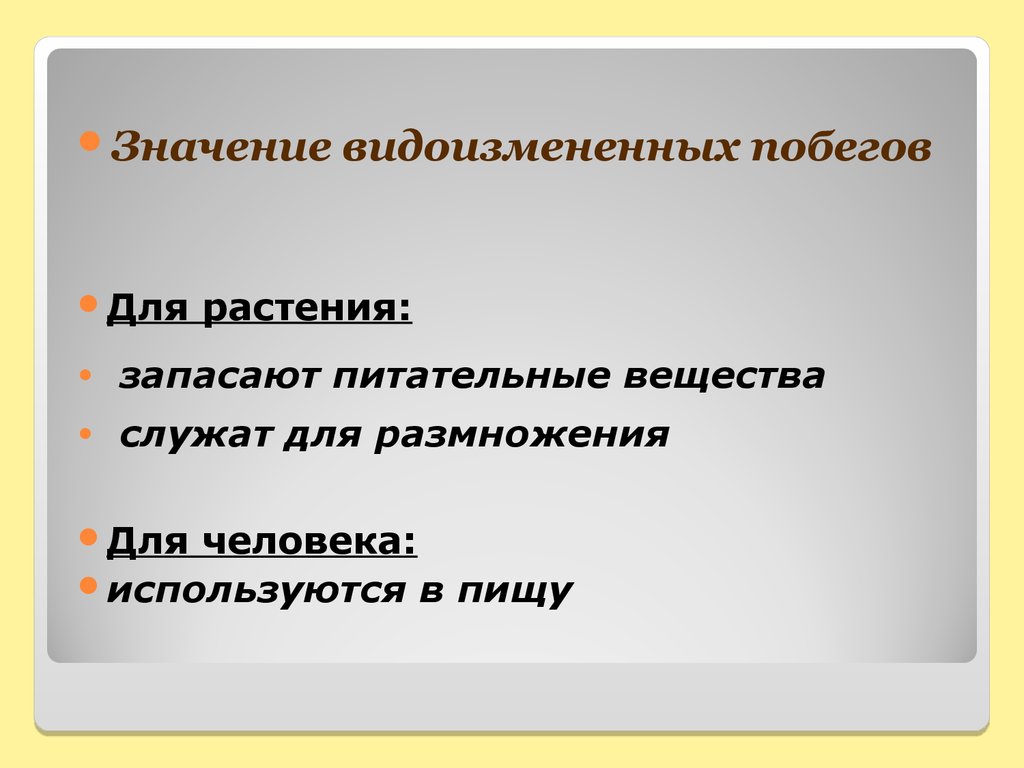 Презентация видоизменения побегов 6 класс фгос пасечник