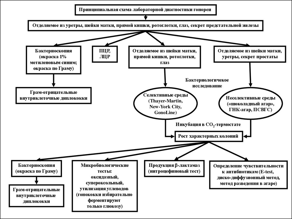 Схема диагностики. Схема лабораторной диагностики гонококковой инфекции. Схема диагностики гонококковой инфекции. Схема лабораторная диагностика гонококков. Схема лабораторной диагностики острой гонореи.