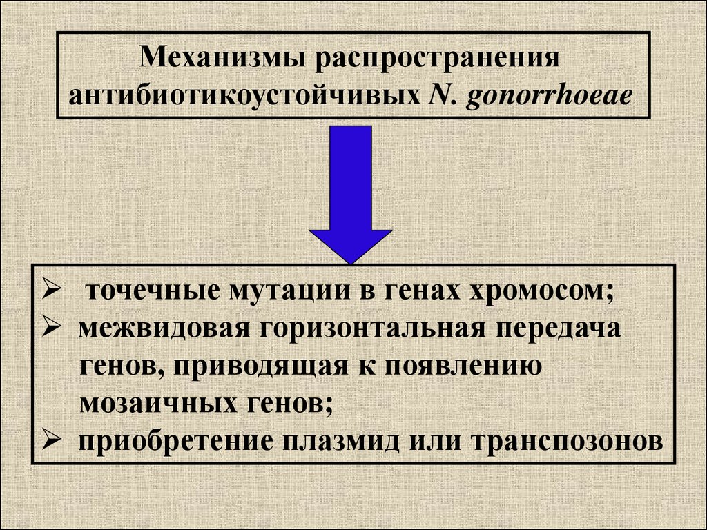 Механизм распространения. Точечные мутации механизм возникновения. Механизм распространения гонококков. Механизм возникновения мозаиков.