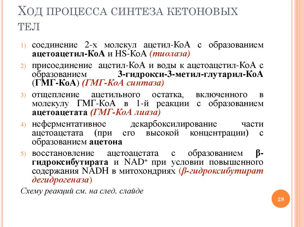 Ход процедуры. Локализация синтеза кетоновых тел в организме. Процессы образования при синтезе кетоновых тел. Ход процесса. Источником ацетил КОА для синтеза кетоновых тел служит.