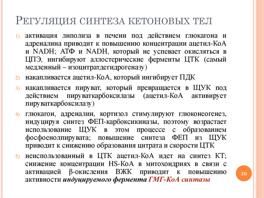 Теле синтез. Синтез кетоновых тел активируется при. Регуляуия Синиеза кетоновы х тел. Регуляция синтеза кетоновых тел. Синтез кетоновых тел активируется при увеличении.