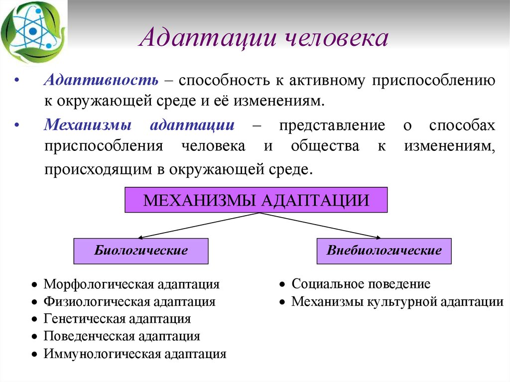 Основные функции при управлении адаптацией и их распределение