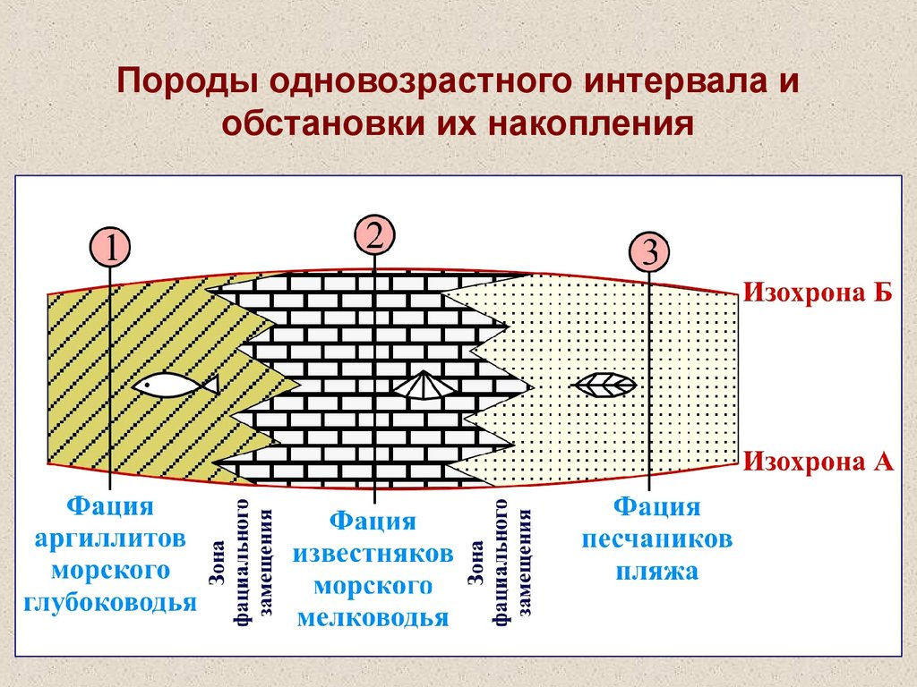 Накопление ситуации. Условия осадконакопления. Континентальные обстановки осадконакопления. Породы одновозрастного интервала и обстановки их накопления. Морская обстановка осадконакопления.