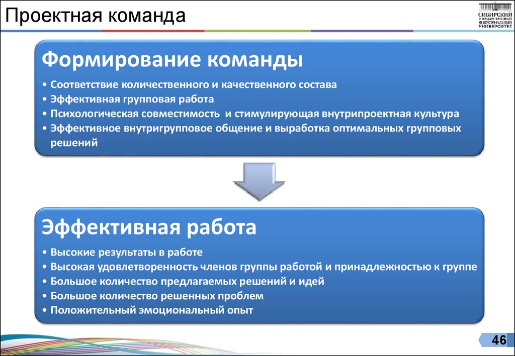 Создание команды проекта