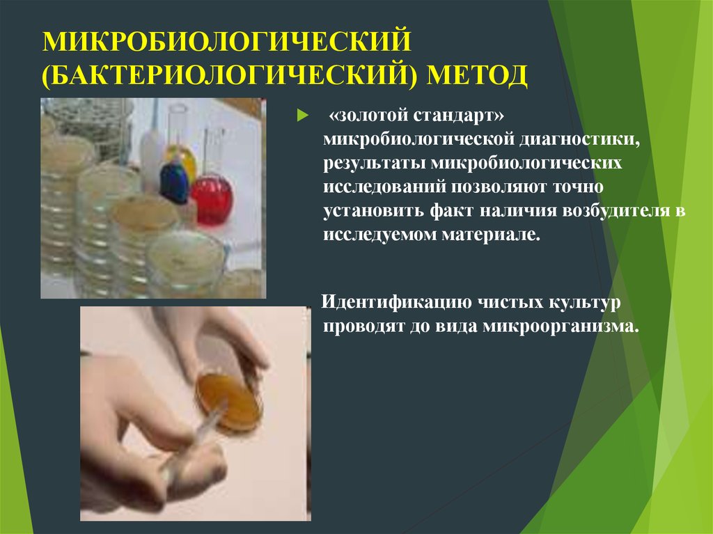 2 этап бактериологического метода