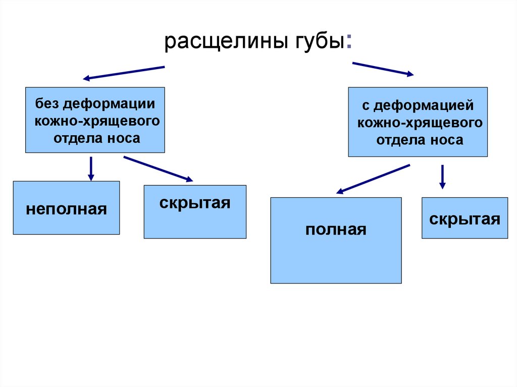 Виды расщелин при ринолалии картинки