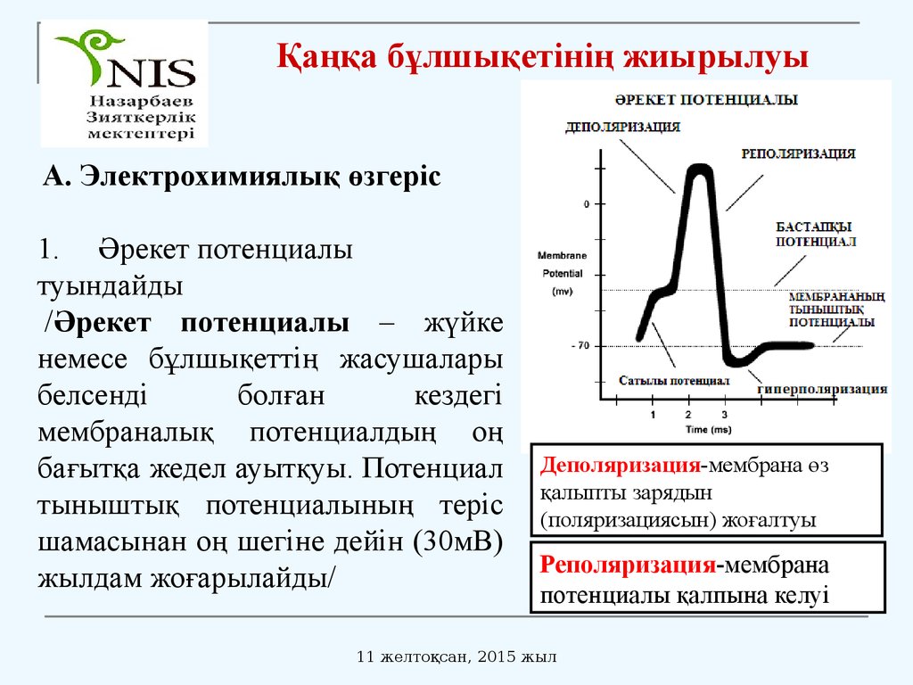 Электрохимиялық потенциал градиенті