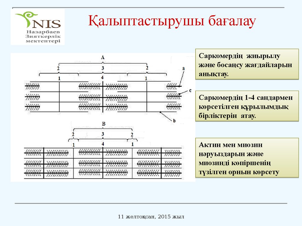 Қалыптастырушы бағалау презентация