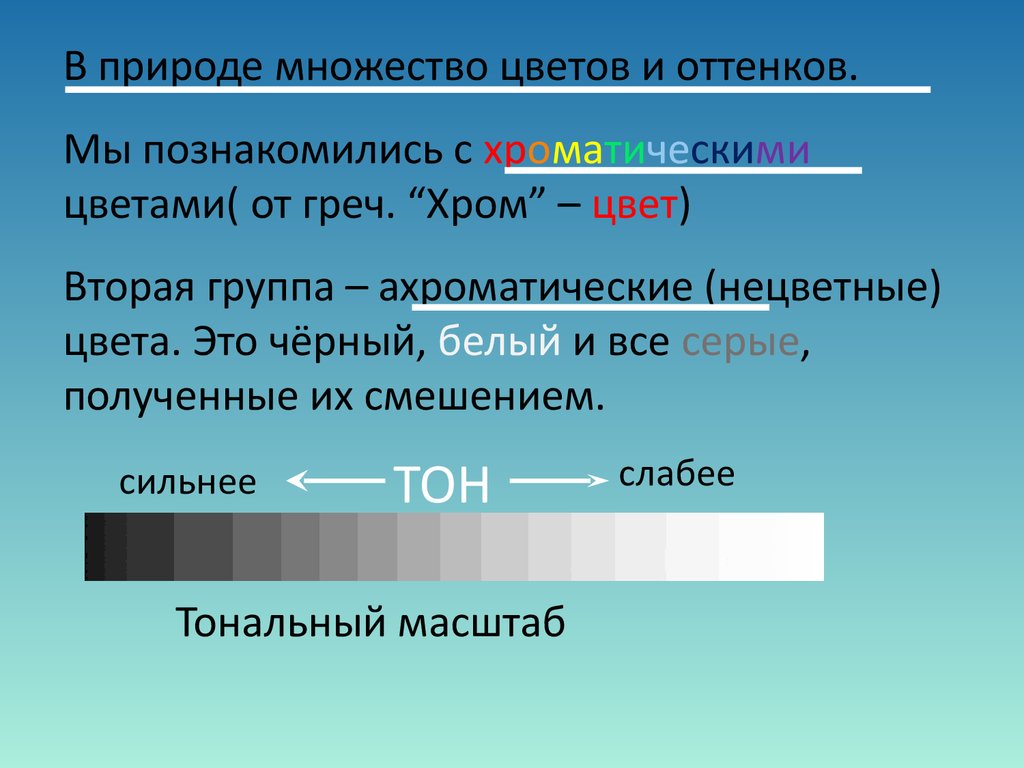 Природа множеств проект