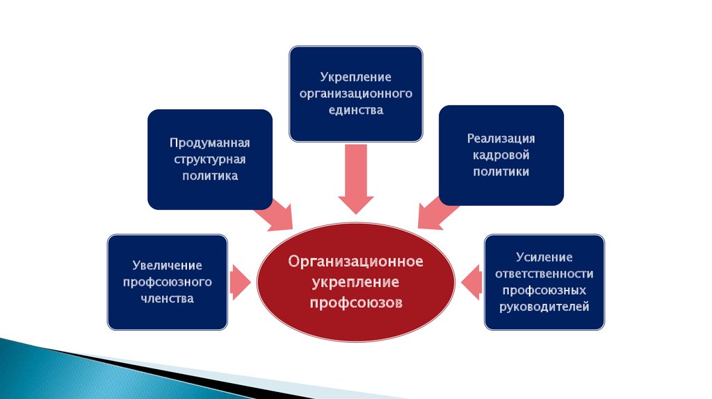 Усиление рядов. Организационное укрепление профсоюза. Год организационного и кадрового укрепления профсоюзов. Основы деятельности профсоюза. Нормативная основа деятельности профсоюзов.