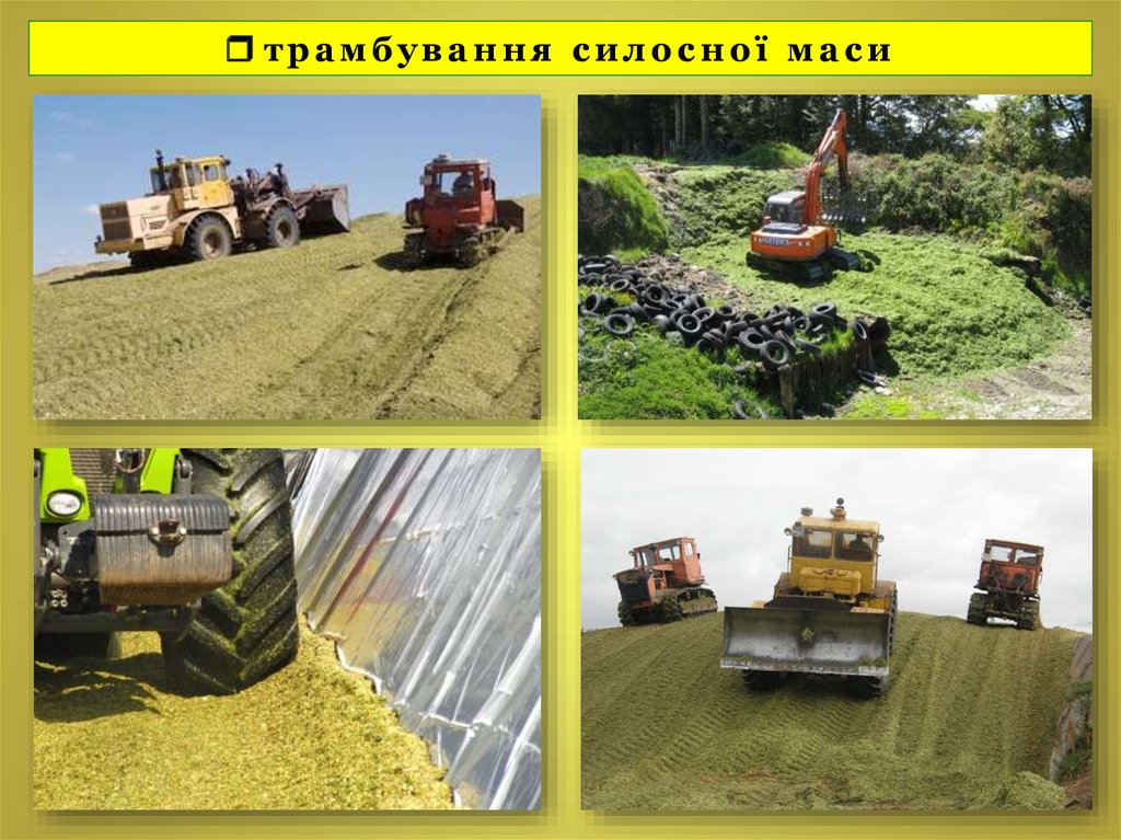 трамбування силосної маси
