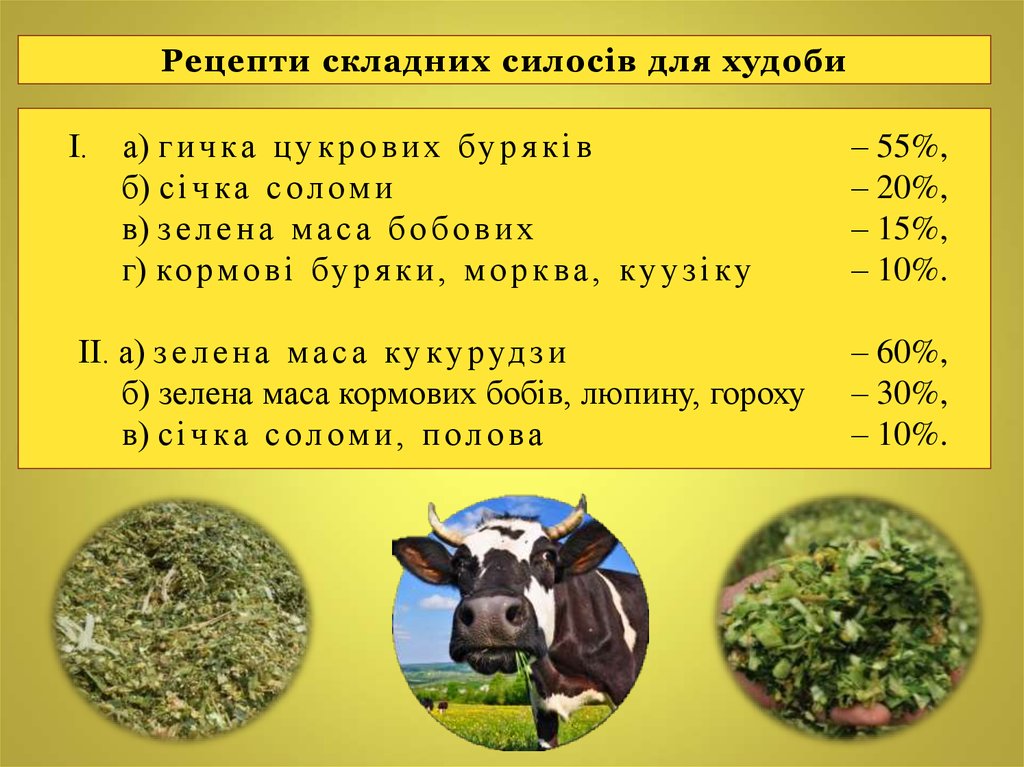 І. а) гичка цукрових буряків – 55%, б) січка соломи – 20%, в) зелена маса бобових – 15%, г) кормові буряки, морква, куузіку –