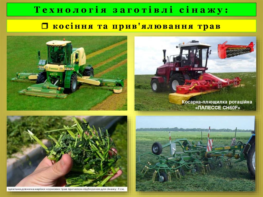  косіння та прив'ялювання трав