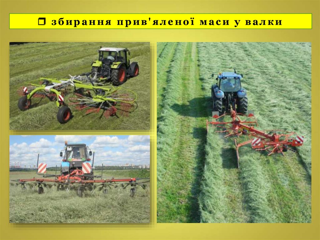  збирання прив'яленої маси у валки