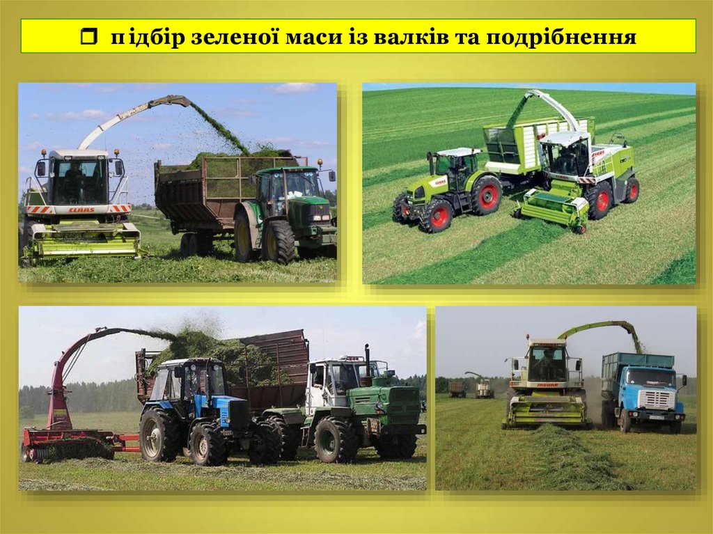  підбір зеленої маси із валків та подрібнення