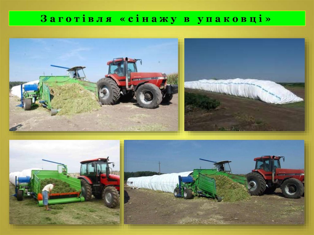 Заготівля «сінажу в упаковці»