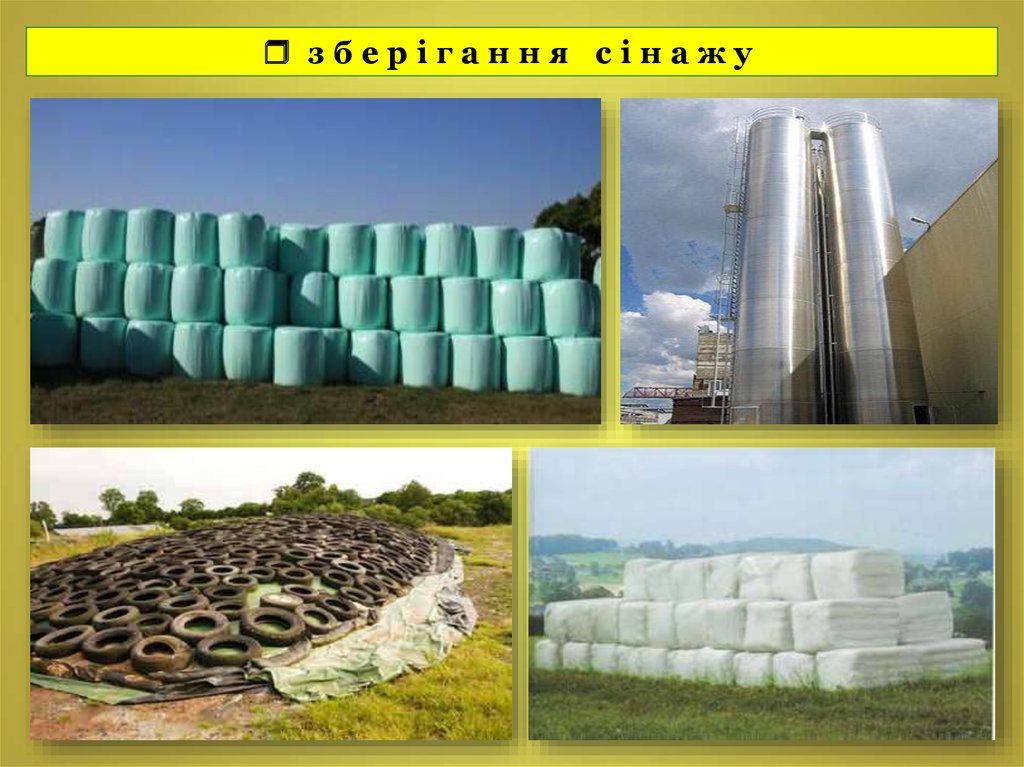 зберігання сінажу