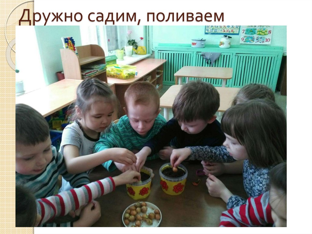 Дружно садим, поливаем