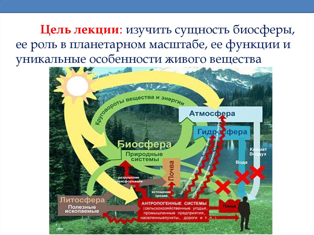 Глобальные нарушения в биосфере. Цель биосферы. Цель человека в биосфере. Биосфера Централизованная система. Сущность биосферы.