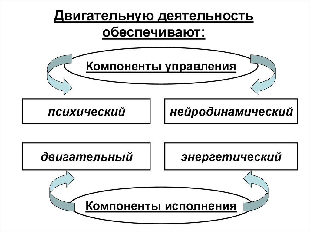 Виды двигательной. Механизмы двигательной деятельности. Системы органов и обеспечение двигательной активности. Структурные компоненты двигательной активности. Компоненты двигательной активности схема.