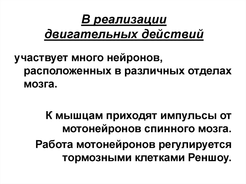 Основу двигательных. Физиологические основы двигательной деятельности. Физиологические основы совершенствования двигательных навыков. Механизм формирования двигательных действий. Основа механизма формирования двигательного навыка.