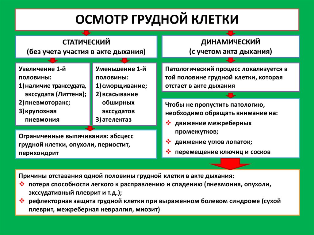 Осмотр грудной клетки. Задачи осмотра грудной клетки. Диагностическое значение осмотра грудной клетки. Статический и динамический осмотр грудной клетки. Назовите цели осмотра грудной клетки:.