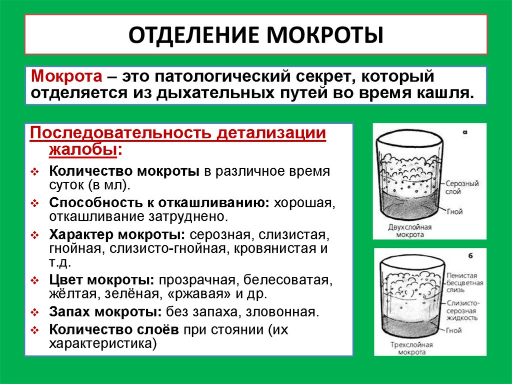 Не отходит мокрота. Чтобы отходила мокрота при кашле у взрослого. Плохо отходит мокрота при кашле. Не отходит мокрота при кашле.