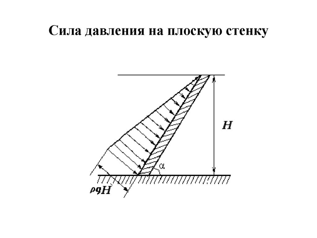 Определите среднюю силу давления действующую на стенку аквариума 25 см