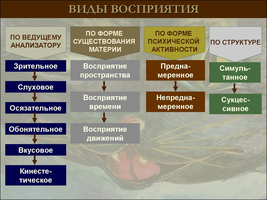 Восприятие психология презентация