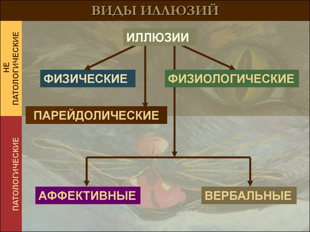 Презентация разновидности иллюзий