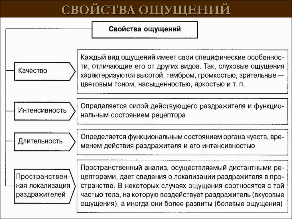 Ощущение основной. Свойства ощущений в психологии с примерами. Основные характеристики ощущений в психологии. Качества ощущений в психологии. Общие свойства ощущений схема.