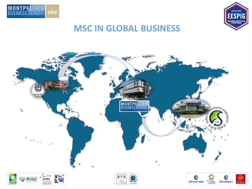 MSC in global business