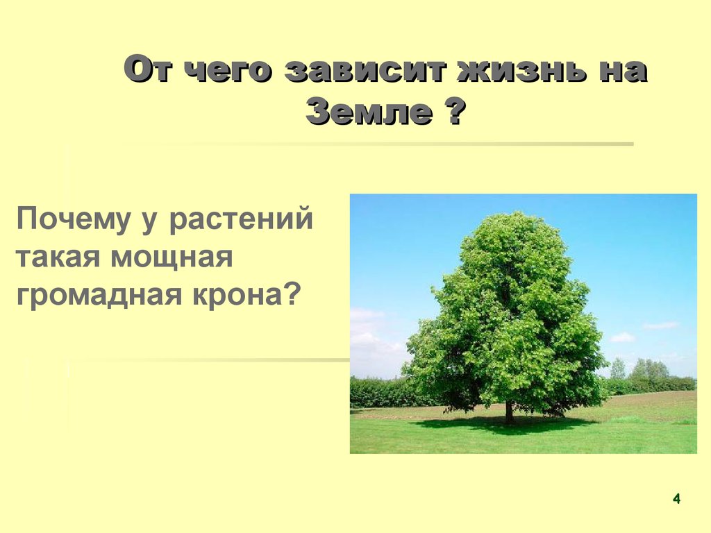 От чего зависит растения. От чего зависит растительность. Почему от растений зависит жизнь на земле. Что будет если исчезнут растения на земле. Почему от растений зависит жизнь на земле 5 класс.