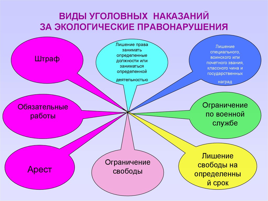 Наказание за проступок. Виды наказаний за экологические правонарушения. Уголовная ответственность за экологические правонарушения. Виды уголовной ответственности за экологические преступления. Виды уголовных экологических правонарушений.