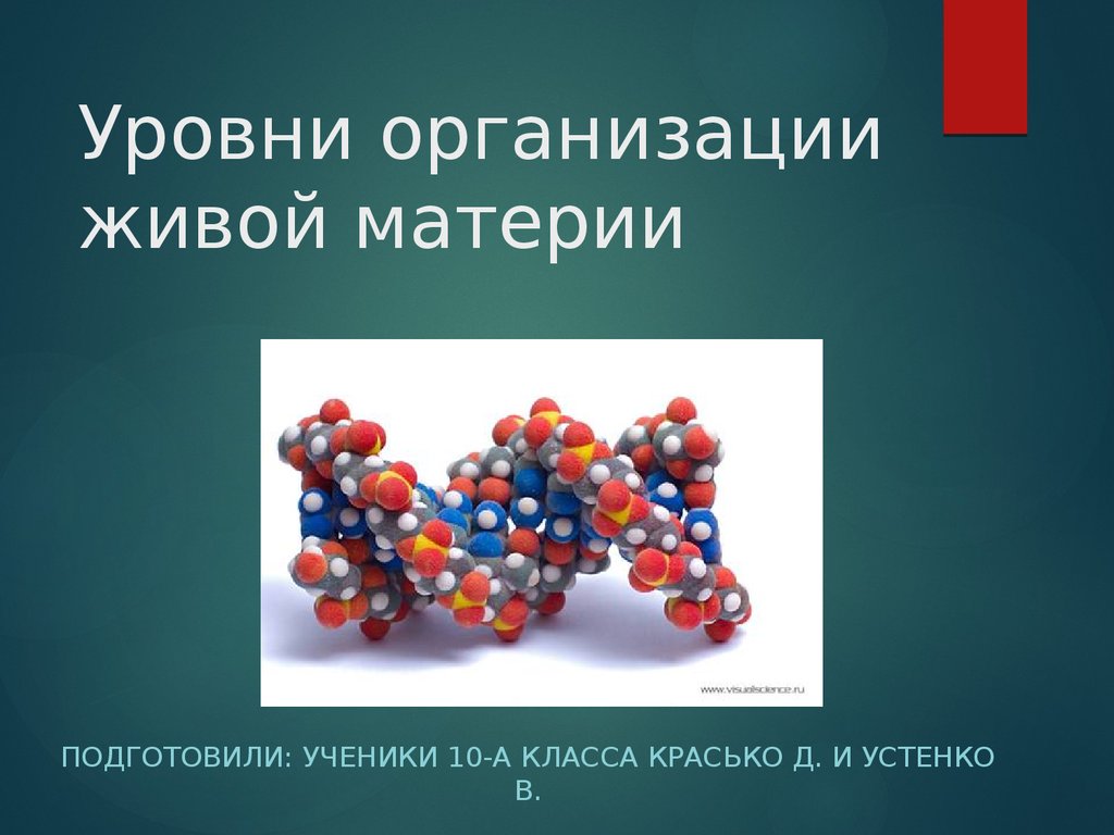 Живая материя. Уровни организации живой материи презентация. Химическая организация живой природы. Живая материя презентация.