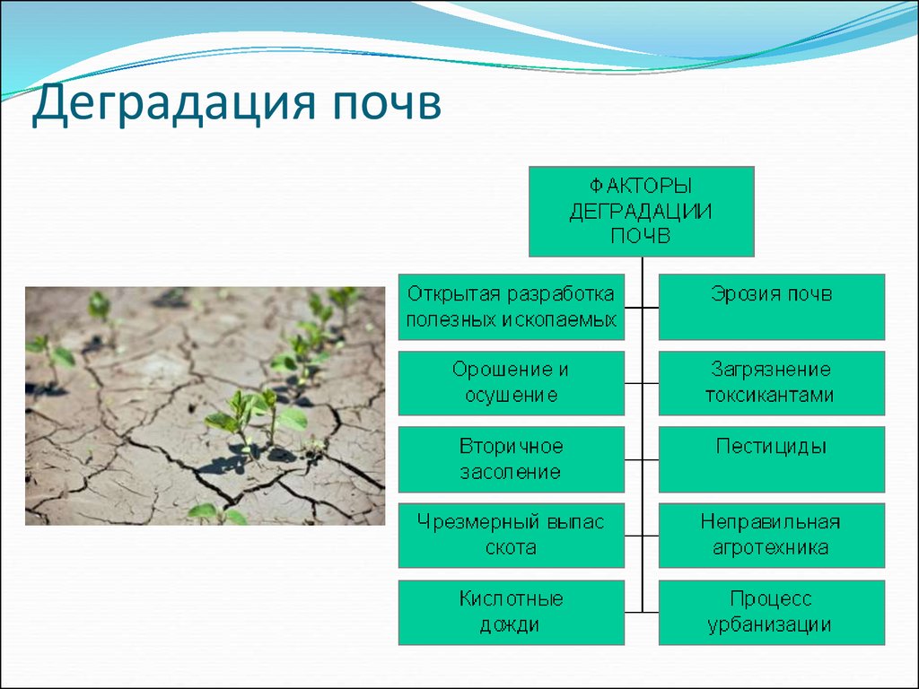 Укажите с чем связаны изменения. Таблица типы деградации почв России. Проблема деградации почв. Способы решения деградации почв. Деградация почв причины.