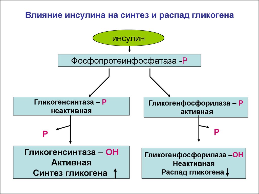 Презентация на тему гликоген