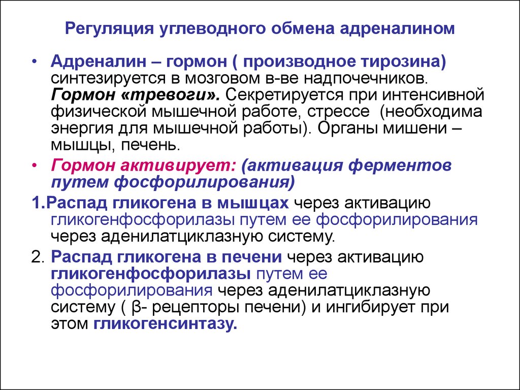 Регуляция действия. Регуляция углеводного обмена гормонами схема. Влияние адреналина на углеводный обмен. Влияние адреналина на обмен углеводов. Механизм влияния адреналина на углеводный обмен.