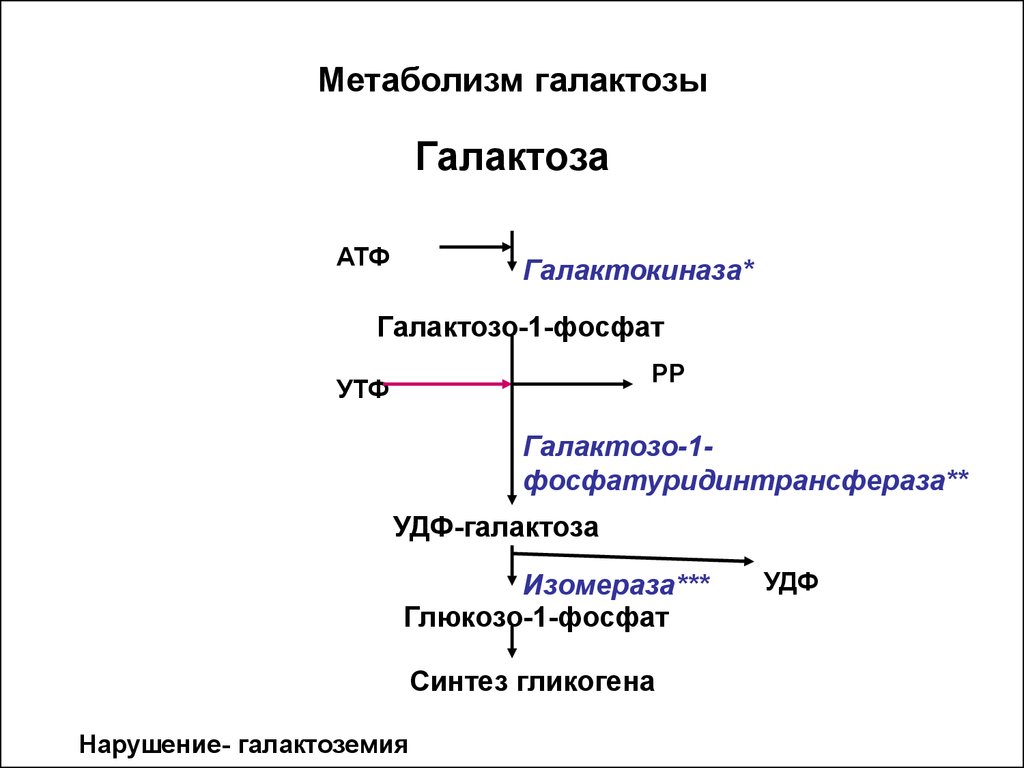 Схема метаболизма галактозы