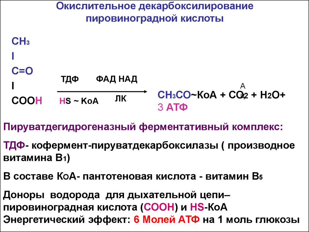 Окислительное декарбоксилирование пирувата схема