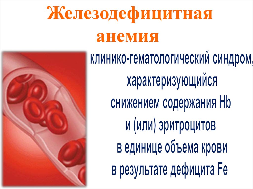Причиной железодефицитной анемии является