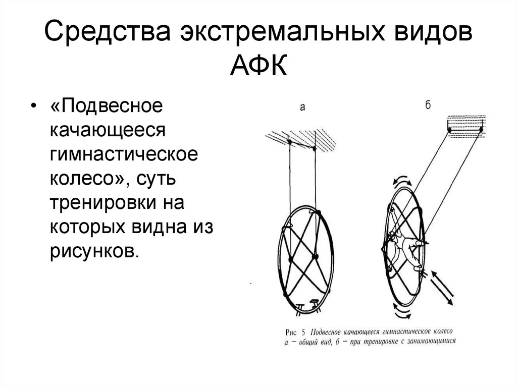 Экстремальные виды адаптивной физической культуры