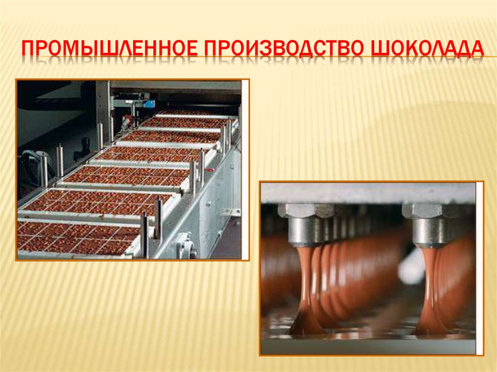 Технология шоколада. Производство шоколада. Производства шиколада. Технология производства шоколада. Технология изготовления шоколада.